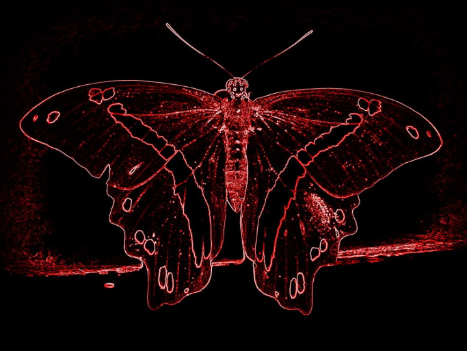 El efecto mariposa en la investigación